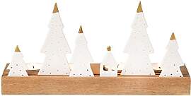 Räder Living Xmas Lichtobjekt Tannen aus