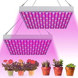 Randaco LED Pflanzenlampe 2x15W, Vollspektrum 225