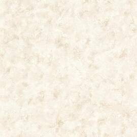 Rasch Tapete 218015 - Papiertapete mit Putzoptik