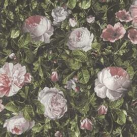 Rasch Tapete 278316 - Florale Tapete mit Rosen in