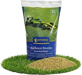 Rasen Nachsaat-Booster Frühjahr - Grassamen
