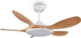 REALITY LEUCHTEN LED Deckenleuchte "FLEN mit