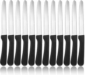 ReaNea Steakmesser 12er Set, Edelstahl Steakmesser 