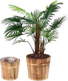 relaxdays Pflanzkübel-Set Holz, Ø 24,0/19,0 cm