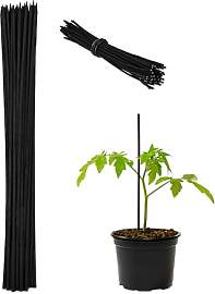 Relaxdays Pflanzstäbe, 50er Set, HxD 30 x 0,5 cm, 