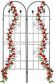Relaxdays Rankgitter, 2er Set, HxB 180 x 50 cm,