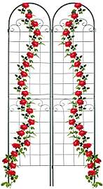 Relaxdays Rankgitter, 2er Set, HxB 220 x 50 cm,