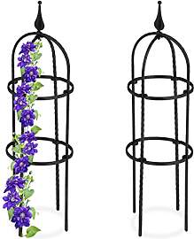 Relaxdays Rankhilfe Obelisk, 2er Set, 70 cm hoch,