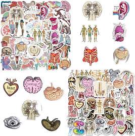 RELKLYU 100 Anatomische Aufkleber, Orgelaufkleber, 