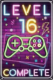 Retro Blechschild 16. Geburtstag Junge, LEVEL 16