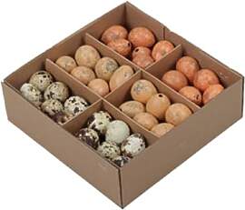RiloStore 72 STK Wachteleier Natur Grau orange