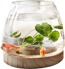 Runde Fischschale Aus Glas | Aquarium Fischglas,