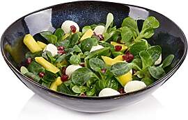 Sänger | Salatschüssel Tokio 1 tlg,