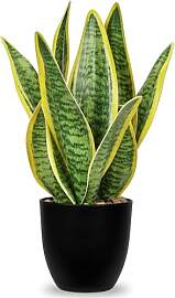 Sansevieria Kunstpflanze im Keramiktopf, kleine