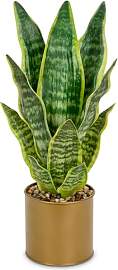 Sansevieria Kunstpflanze im Verzinkter Topf Kleine 