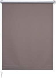 Seitenzugrollo LIEDECO Gr. 2, grau (stone), B:80cm 