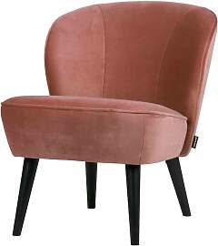 Sessel Sara aus Samt, modernes Design, rosa,