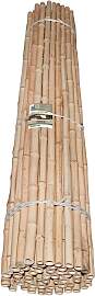 Sichtschutzzaunmatten WINDHAGER, beige (natur),