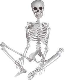 SIFOEL 90cm Halloween Skelett Plastik Ganzkörper