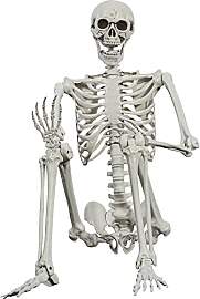 SIFOEL Halloween-Skelett 165cm realistische