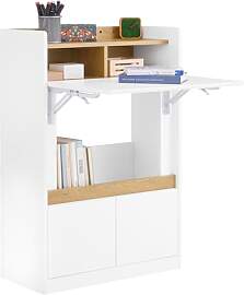 SoBuy Klappbarer Schreibtisch mit Ablagen und 2