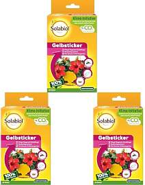 Solabiol Gelbsticker, Gelbstecker, insektizidfreie 