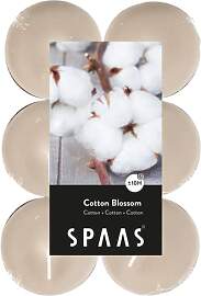 SPAAS 12 Maxi Teelichter, ± 10 Stunden - Cotton