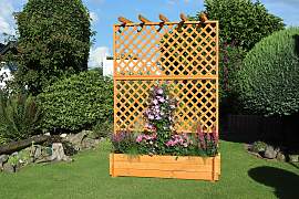 Spalier PROMADINO, braun (honigbraun), B:140cm