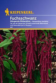 Sperli Blumensamen Fuchsschwanz Hängende