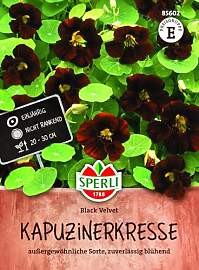 Sperli Kapuzinerkressesamen Black Velvet 85602 -