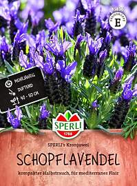 Sperli Schopflavendelsamen SPERLI's Kronjuwel 