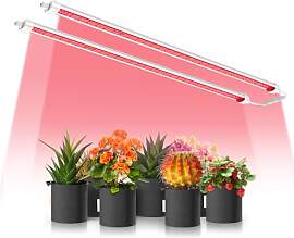 Spider Farmer LED Pflanzenlampe GlowR80, Rotes