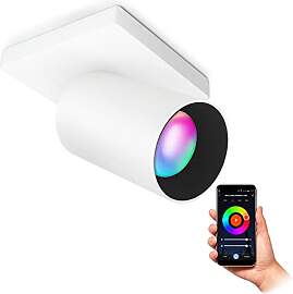 SSC-LUXon ALVO 1 Decken- & Wandspot LED weiß