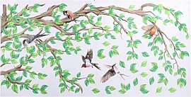 Statische Fensterbilder Vögel auf Ast, 69×54 cm, 