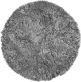 Stuhlauflage Schaffell - 33 cm Scand Grey