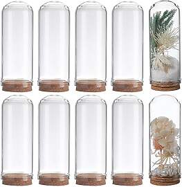 SUNNYCLUE 10Pcs 276 Zoll Glas Display Dome Cloche