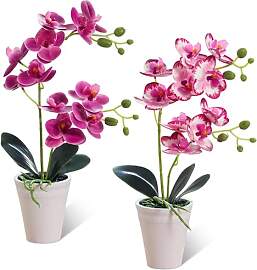 Sunyunze 2 Stück Orchideen Künstlich 40cm