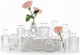 SUPMIND 12-teiliges Glasvasen-Set, kleine