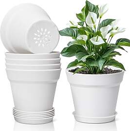 T4U 16cm Kunststoff Blumentopf mit Untersetzer,