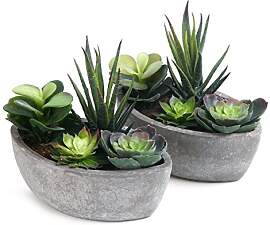 T4U Kunstpflanze mit Topf Künstliche Sukkulenten