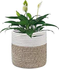 Tenn Well 20 cm Indoor-Topf für Pflanzen mit