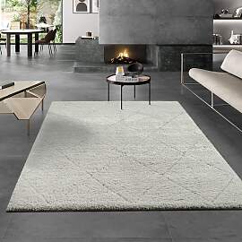 Teppich THE CARPET "Bahar Shaggy", beige 