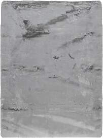 Teppich Tiril aus Polyester, modern, silber,