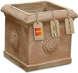 Teramico Pflanzgefäß Blumentopf Cubo Con Rosone