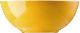 Thomas Rosenthal Sunny Day Müslischale,