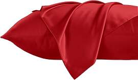 THXSILK 100% 19 Momme Seide Kissenbezug