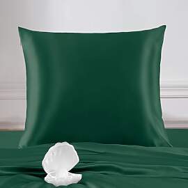THXSILK 22 Momme Seide Kissenbezug - 100% Seide