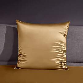 THXSILK 22 Momme Seide Kissenbezug - 100% Seide