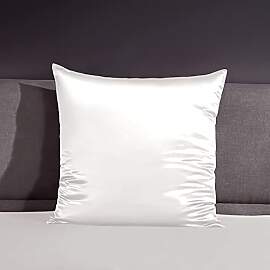 THXSILK 22 Momme Seide Kissenbezug - 100% Seide