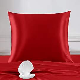 THXSILK 22 Momme Seide Kissenbezug - 100% Seide